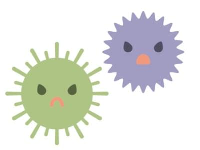 カビで損をしないためのカメラ買取