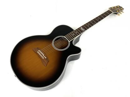 Takamine タカミネ アコースティックギター エレアコ DSP110